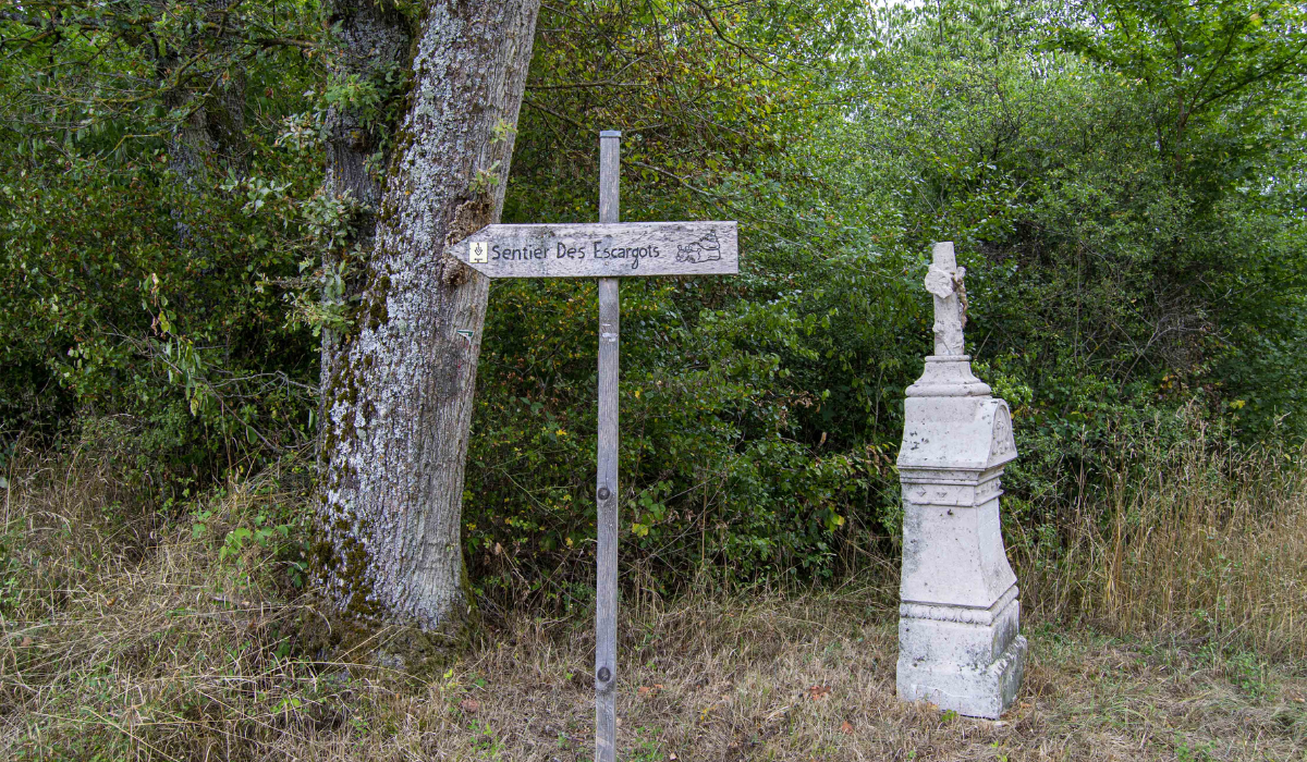 Design sans titre (45)